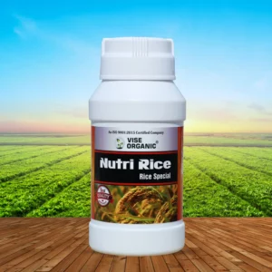 Nutri Rice