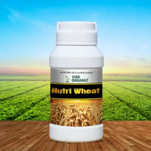 Nutri Wheat