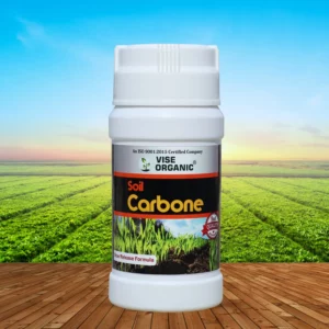 Soil Carbone
