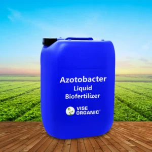 Azotobacter Liquid Based