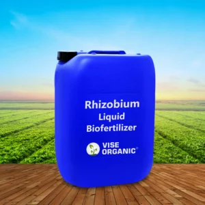 Rhizobium Liquid Based