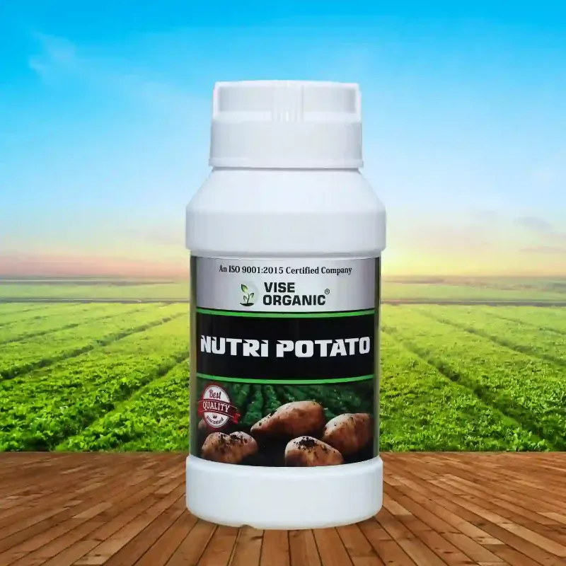 Nutri Potato