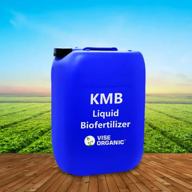 Potash Mobilizing Microorganism