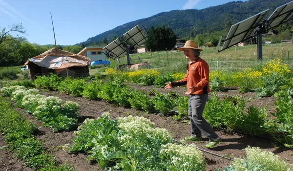 organic farming