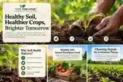 Biofertilizer consortia supporting healthy soil and crop nutrition
