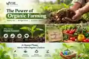 Organic farming and microbial soil health practices for sustainable crop nutrition