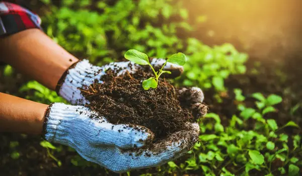 healthier soil ecosystems